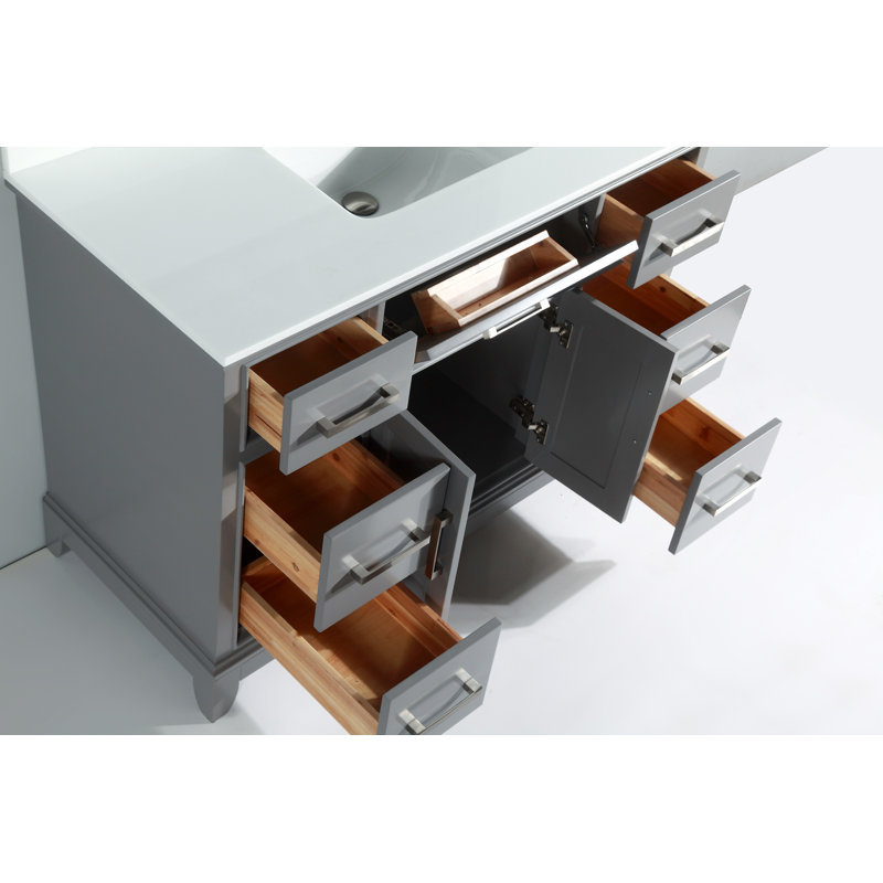 Red Barrel Studio® Valor 48'' Free Standing Single Bathroom Vanity with